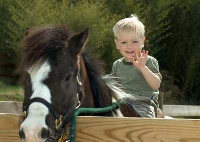 Young boy riding a brown and white pony