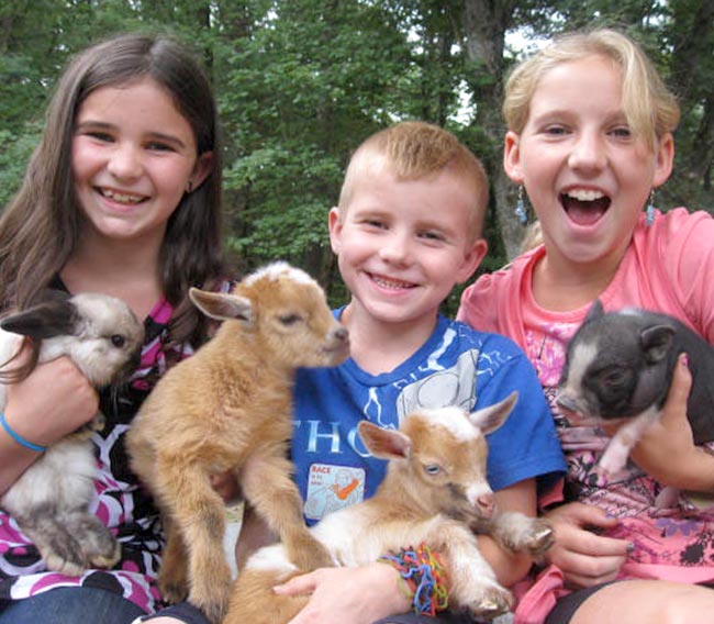 Traveling Petting Zoo & Farm Animals for Parties in North Central MA |  Animal Craze